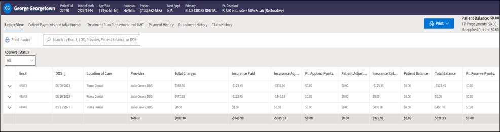 Patient example ledger view